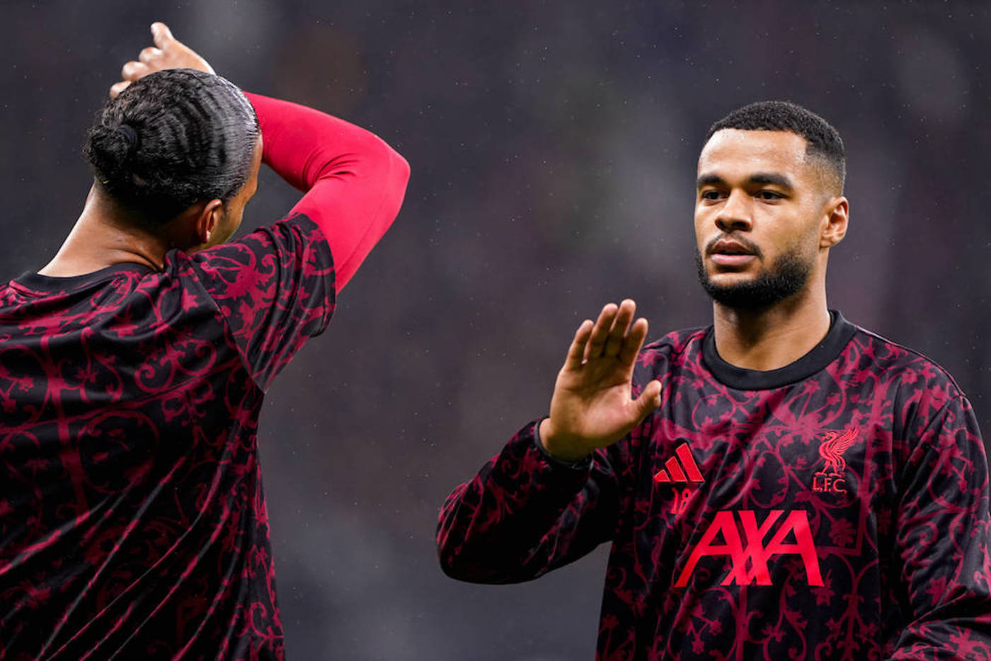 Van Dijk hoppas att Gakpo stannar